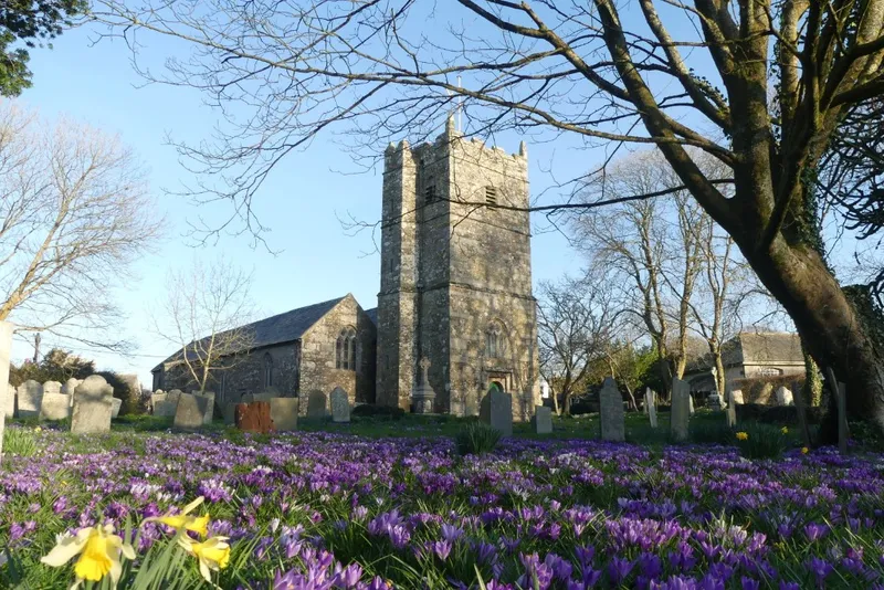 A historic stone church with a tall square tower, seen across a churchyard covered in spring crocuses