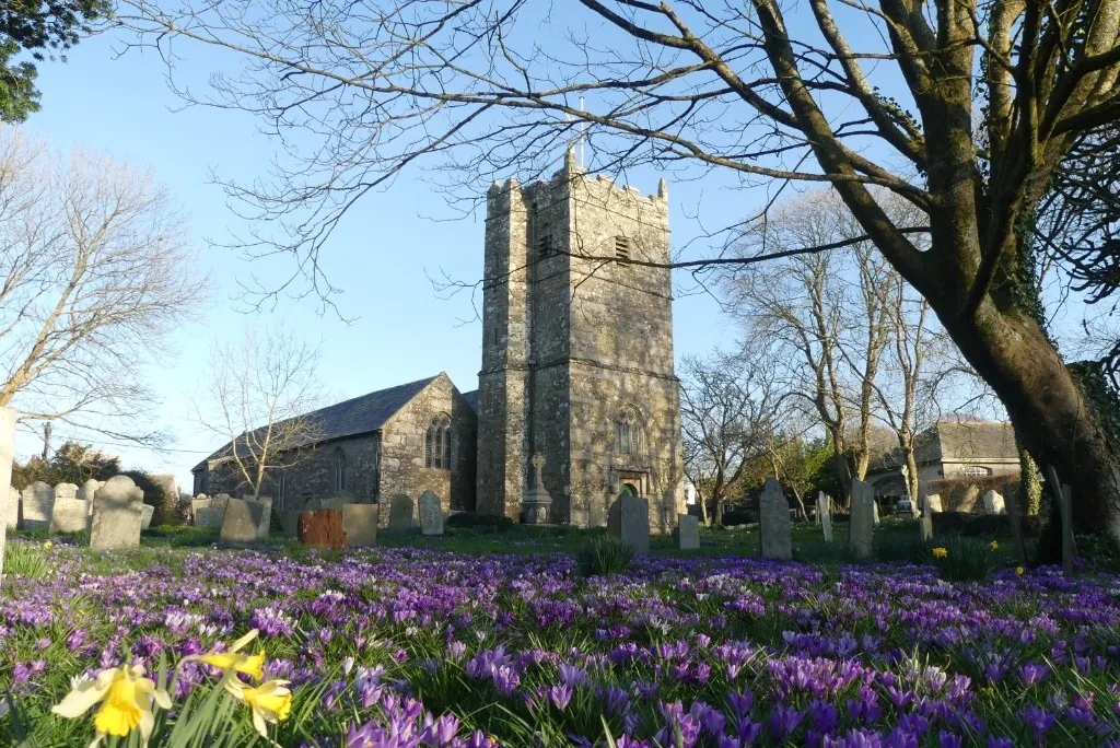 Historic stone church tower above a churchyard of crocuses and daffodils in spring
